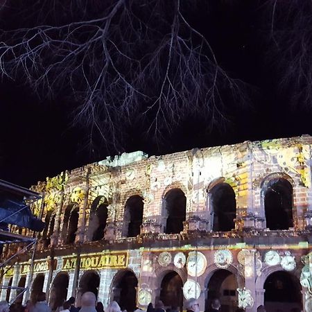 Palmiers Et Crocos Du Vieux Nimes Apartman Kültér fotó